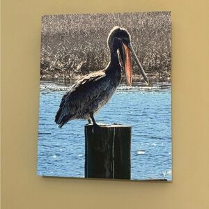 Pelican Canvas Wall Art